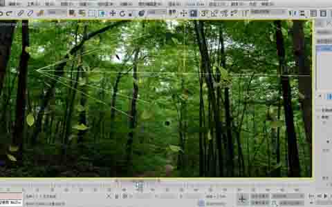让植物透光的效果图制作技巧 让植物透光的效果图制作技巧